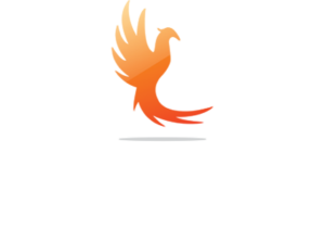logo phoenix-ascenseurs